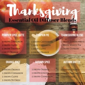 Thanksgiving Diffuser Recipes that are sure to have your home smelling delicious!