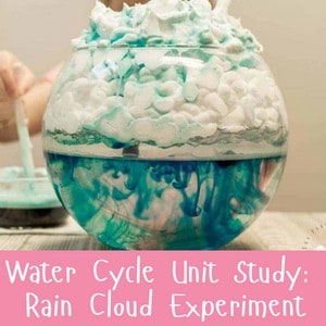 Water Cycle Unit Study: Rain Cloud Experiment (Shaving Cream Style)