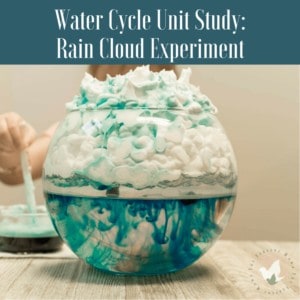 Water Cycle Unit Study: Why Does it Rain? - The Fervent Mama: Is your little one asking 