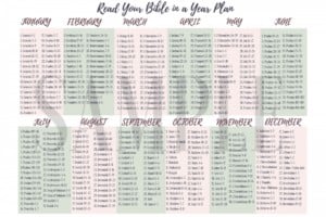 Tips to be successful when you read the Bible in a year + FREE Print -The Fervent Mama: This year, if your goal is to read the Bible in a year, we want you to feel confident that you can finish. Use these tips and our handy FREE printable plan to accomplish your goal!