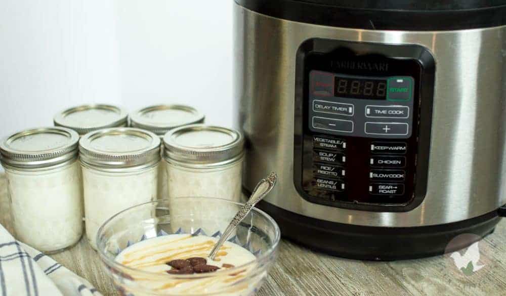 How To Make Pressure Cooker Yogurt When You Don't Have A Yogurt