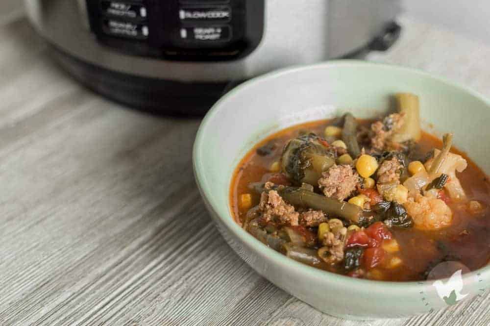 Pressure cooker sales vegetable soup recipes