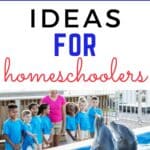 With homeschooling, you have the flexibility to schedule trips to locations that fit with your lesson plans! Here are some simple year-round field trip ideas for homeschoolers!