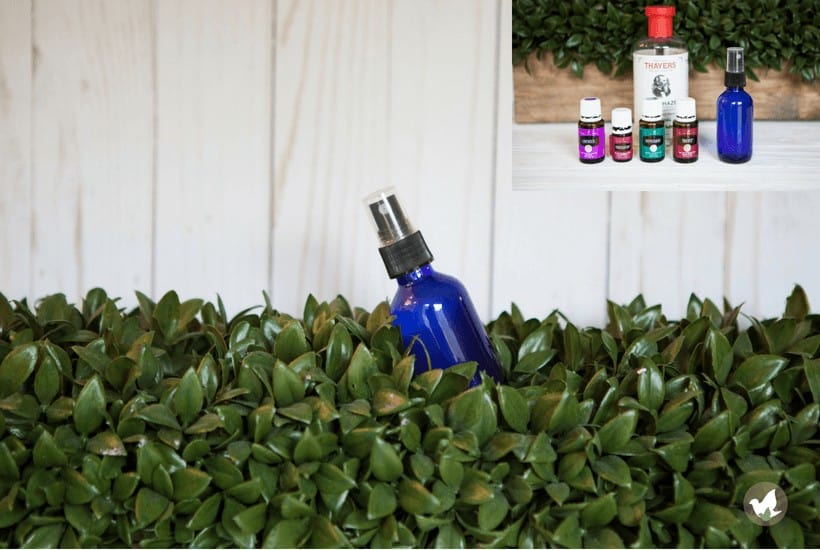 DIY Chemical Free Bug Spray with Essential Oils- The Fervent Mama: When a friend told me that she was using a chemical free (non-toxic) bug spray with essential oils, I knew it was right up my ally to try. #essentialoils #chemicalfree