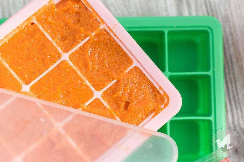 Practical Tips for Storing Homemade Baby Food - The Fervent Mama: It doesn't matter if you're in a bind and need to make your own baby food to save money, or if you're just wanting to give your baby a more health-conscious option! Making your own baby food, and then storing homemade baby food isn't a hassle when you've got the right tools! #homemadebabyfood #pressurecookerrecipes