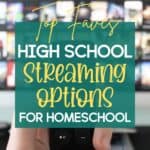 If you're looking for some high school video streaming options for your homeschool, we've compiled a list of our favorites. Check out and see if these educational programs for high school students become your favorites too!